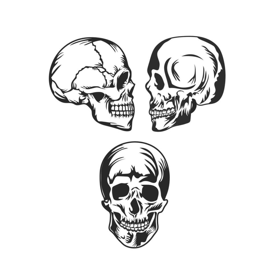 mano dibujado cráneo vector ilustración