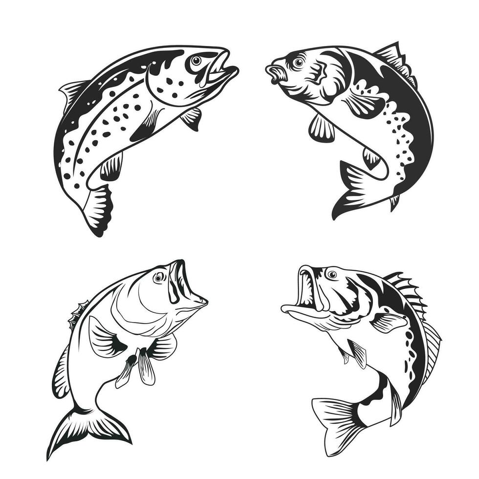 Hand Drawn Bass Fish Vector