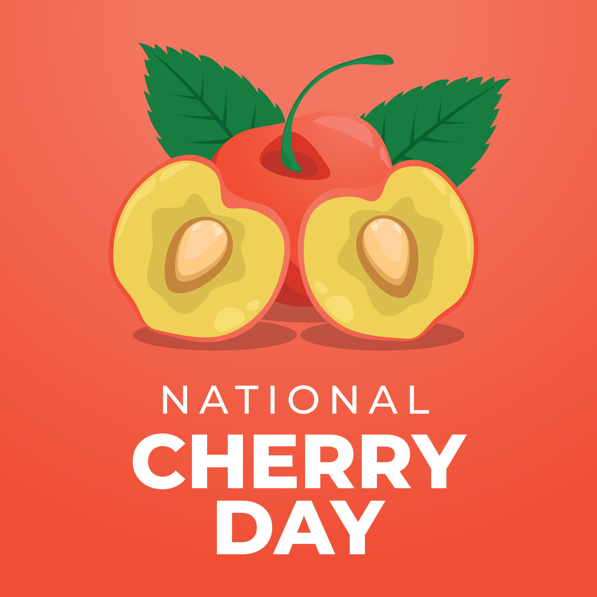 national cherry day design template for celebration. flat cherry vector
