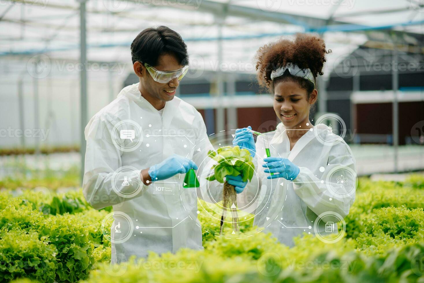 Researcher in white uniform are checking with ph strips in hydroponic farm and pH level scale graphic, science laboratory greenhouse concept. photo