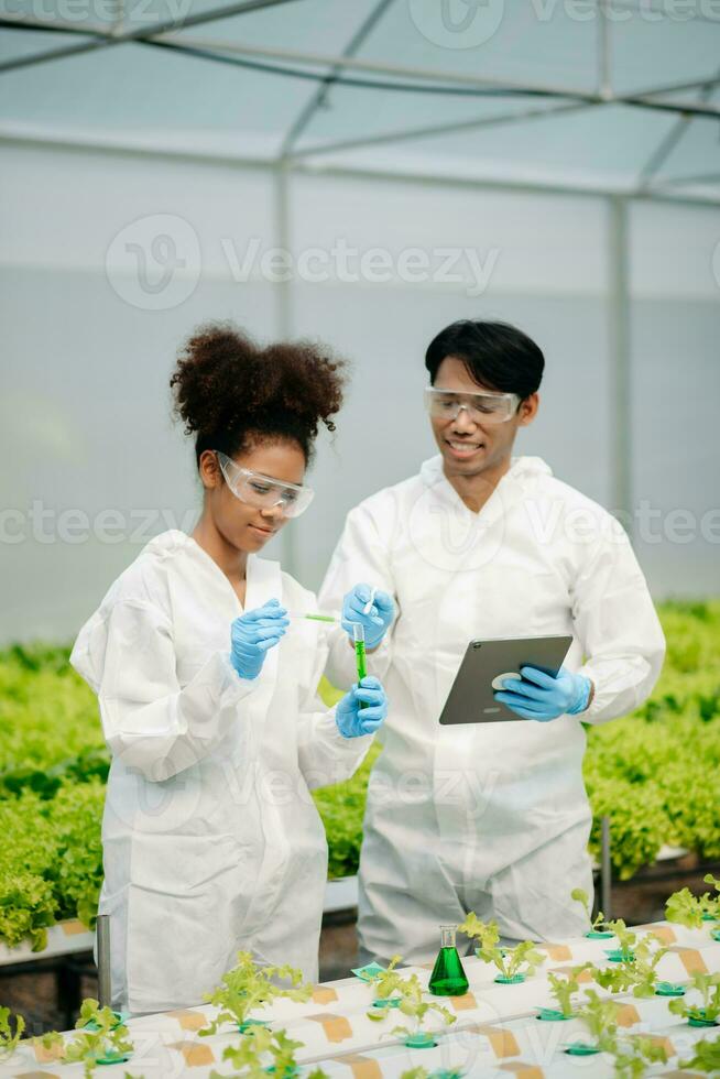 Biologist puts sprout in test tube for laboratory analyze. Two scientists stand in organic farm. check, laboratory in greenhouse. photo