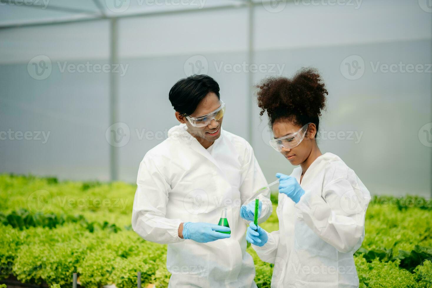 Biologist puts sprout in test tube for laboratory analyze. Two scientists stand in organic farm. check, laboratory in greenhouse. photo