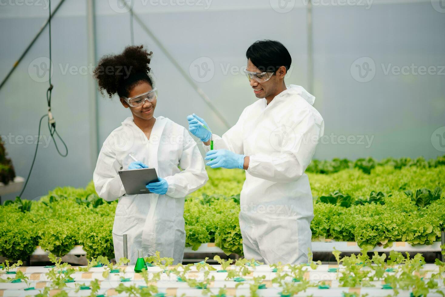 Biologist puts sprout in test tube for laboratory analyze. Two scientists stand in organic farm. check, laboratory in greenhouse. photo