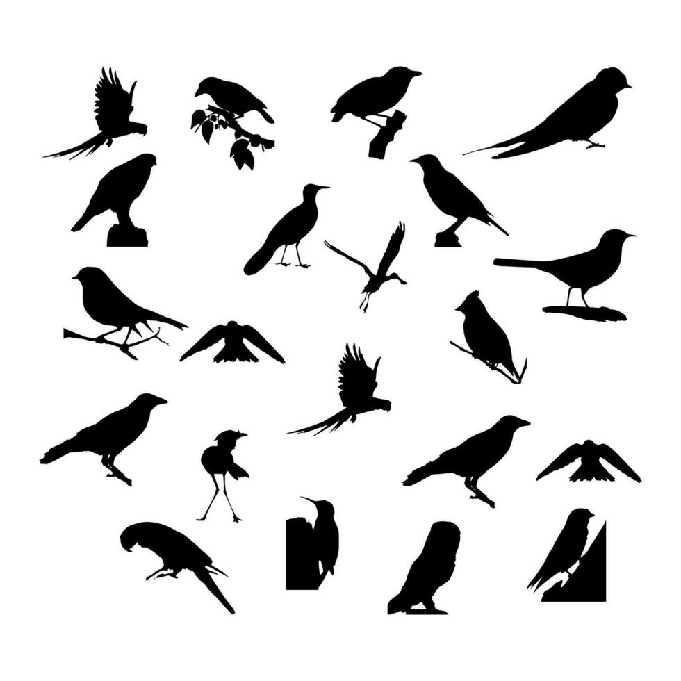 colección de siluetas de aves vector ilustración.
