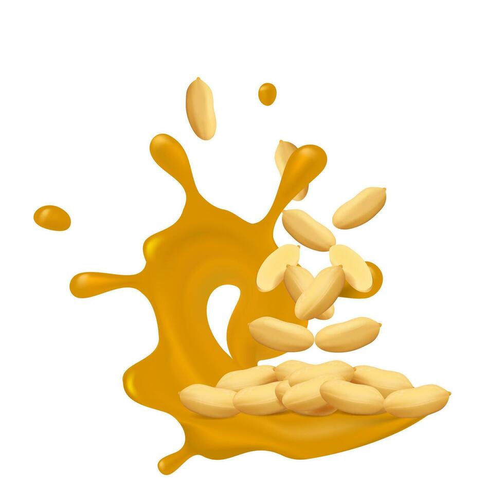 Vector peanut kernels isolated on white background in splashes of peanut butter