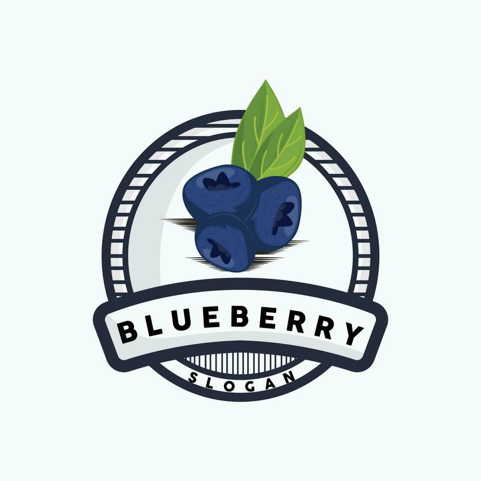 Blueberry Logo, Garden Farm Fresh Fruit Vector, Elegant Simple Design, Symbol Illustration Template vector