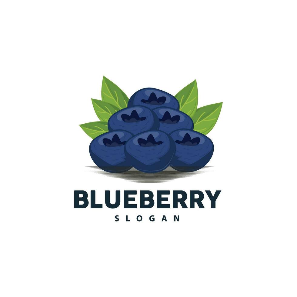 Blueberry Logo, Garden Farm Fresh Fruit Vector, Elegant Simple Design, Symbol Illustration Template vector