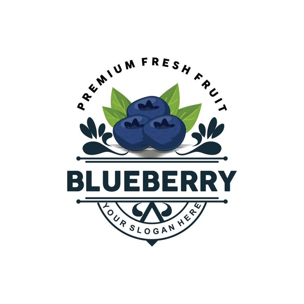 Blueberry Logo, Garden Farm Fresh Fruit Vector, Elegant Simple Design, Symbol Illustration Template vector