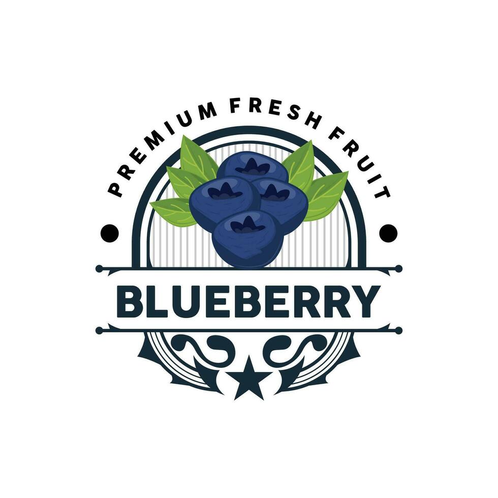 Blueberry Logo, Garden Farm Fresh Fruit Vector, Elegant Simple Design, Symbol Illustration Template vector