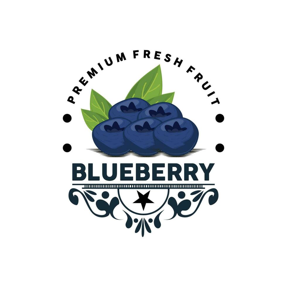 Blueberry Logo, Garden Farm Fresh Fruit Vector, Elegant Simple Design, Symbol Illustration Template vector