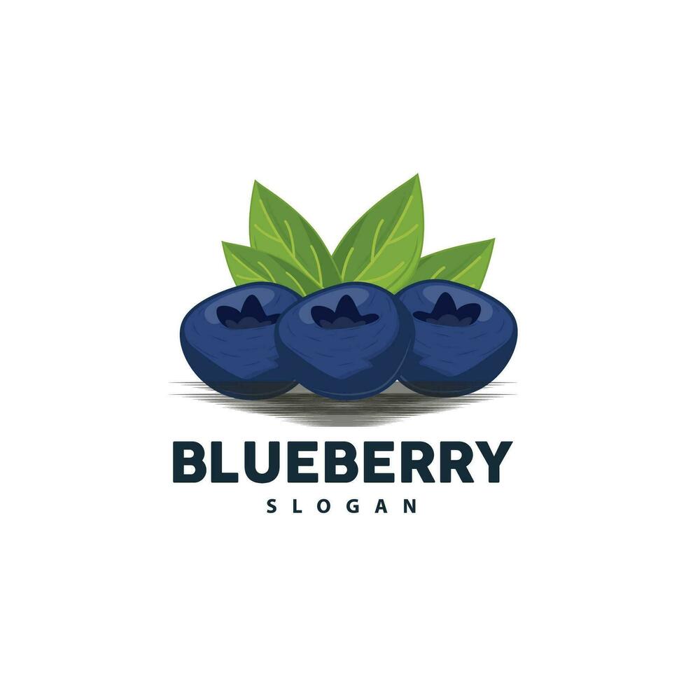 Blueberry Logo, Garden Farm Fresh Fruit Vector, Elegant Simple Design, Symbol Illustration Template vector