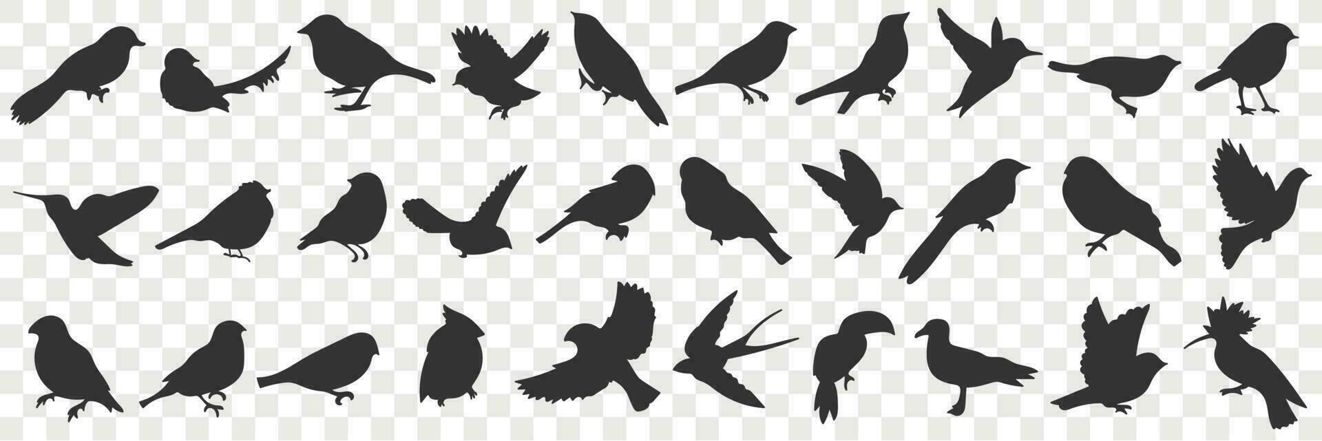 Silhouettes of birds doodle set. Collection of hand drawn various black silhouettes of flying sitting birds with wings in rows on transparent vector