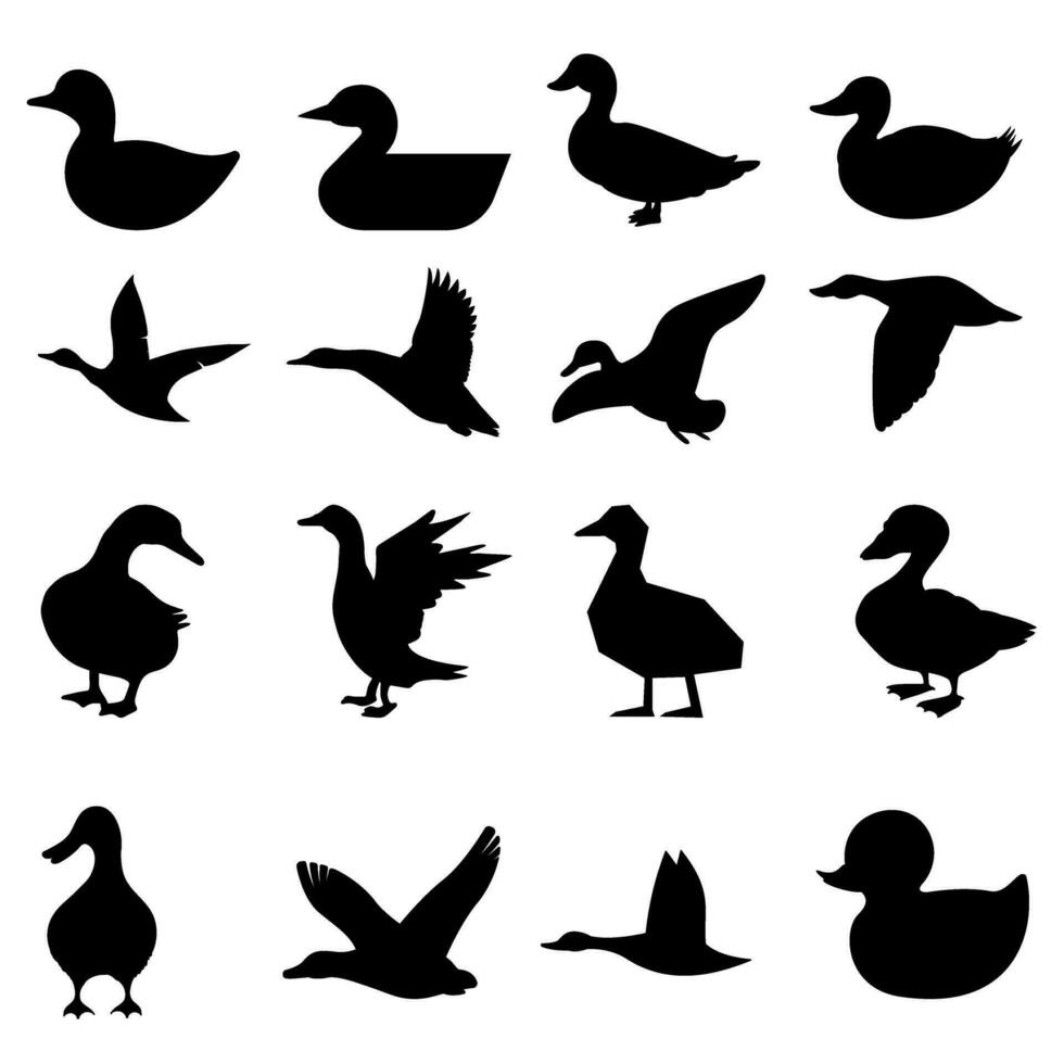 Pato icono vector colocar. pájaro ilustración firmar recopilación. caza símbolo. ganso logo.