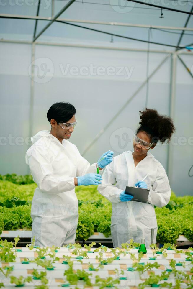 Biologist puts sprout in test tube for laboratory analyze. Two scientists stand in organic farm. check, laboratory in greenhouse. photo