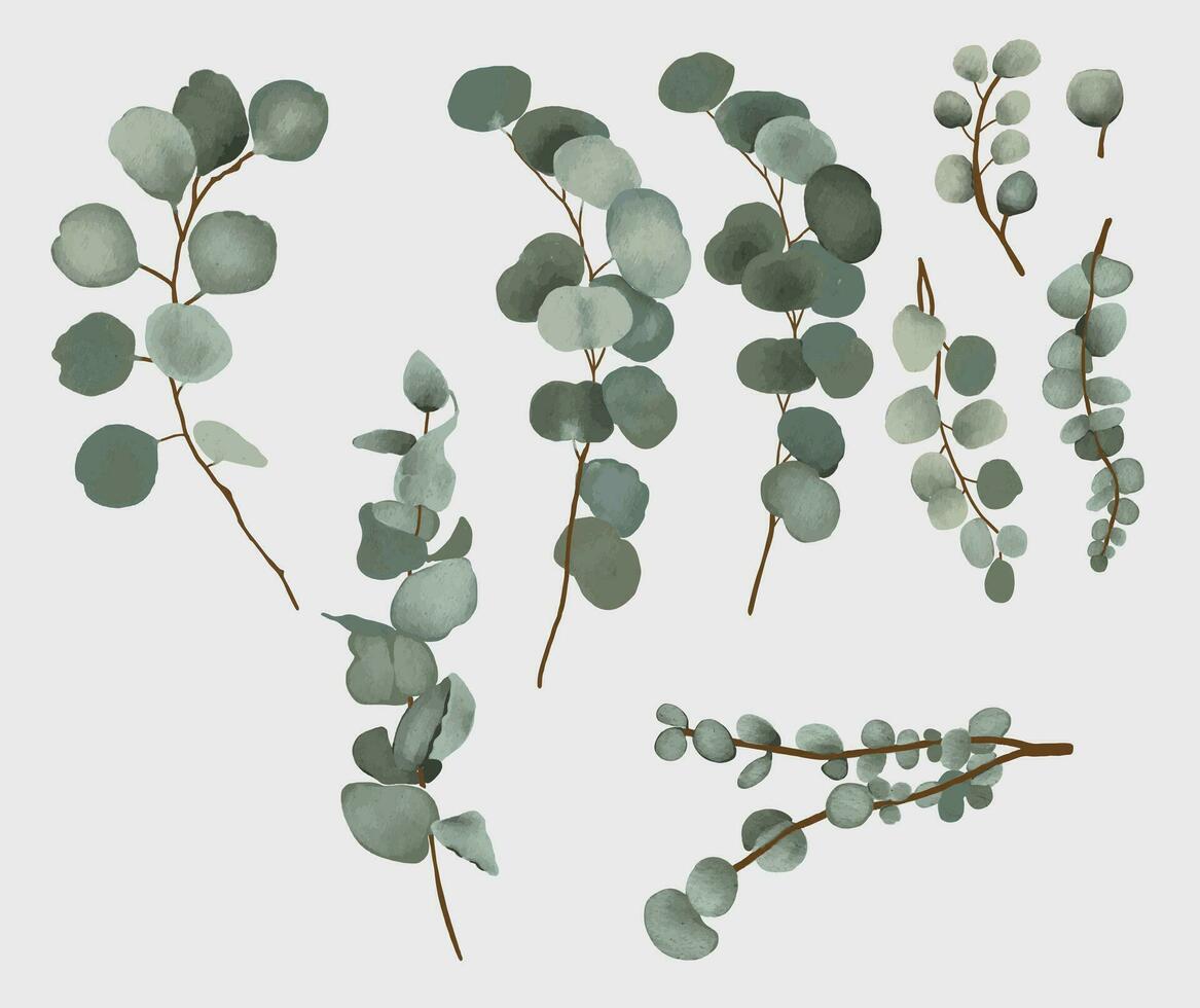 set of watercolor eucalyptus leaves wedding pack. vector