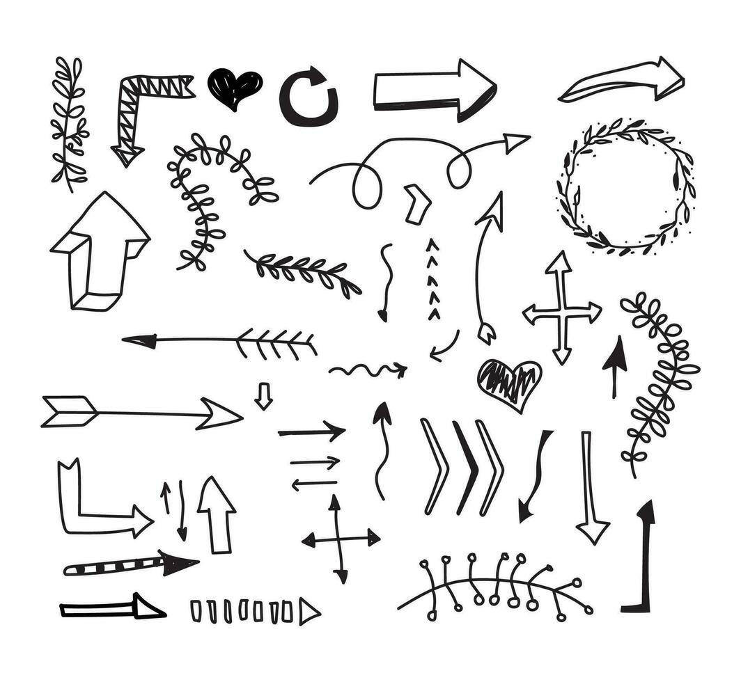 Doodle collection of arrows, and botanical circles. vector