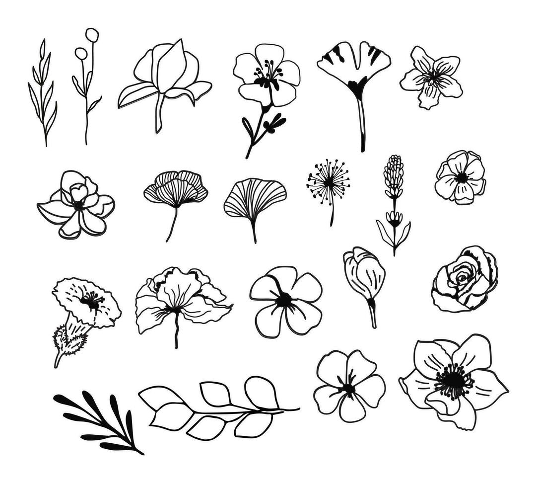 hand drawn wedding flower doodle collection. vector