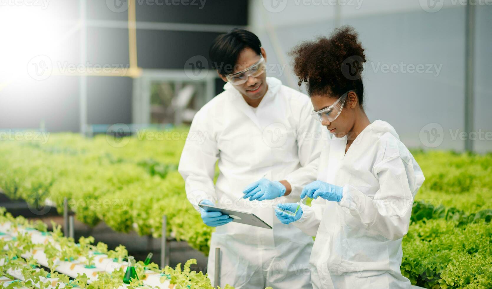 Biologist puts sprout in test tube for laboratory analyze. Two scientists stand in organic farm. check, laboratory in greenhouse. photo