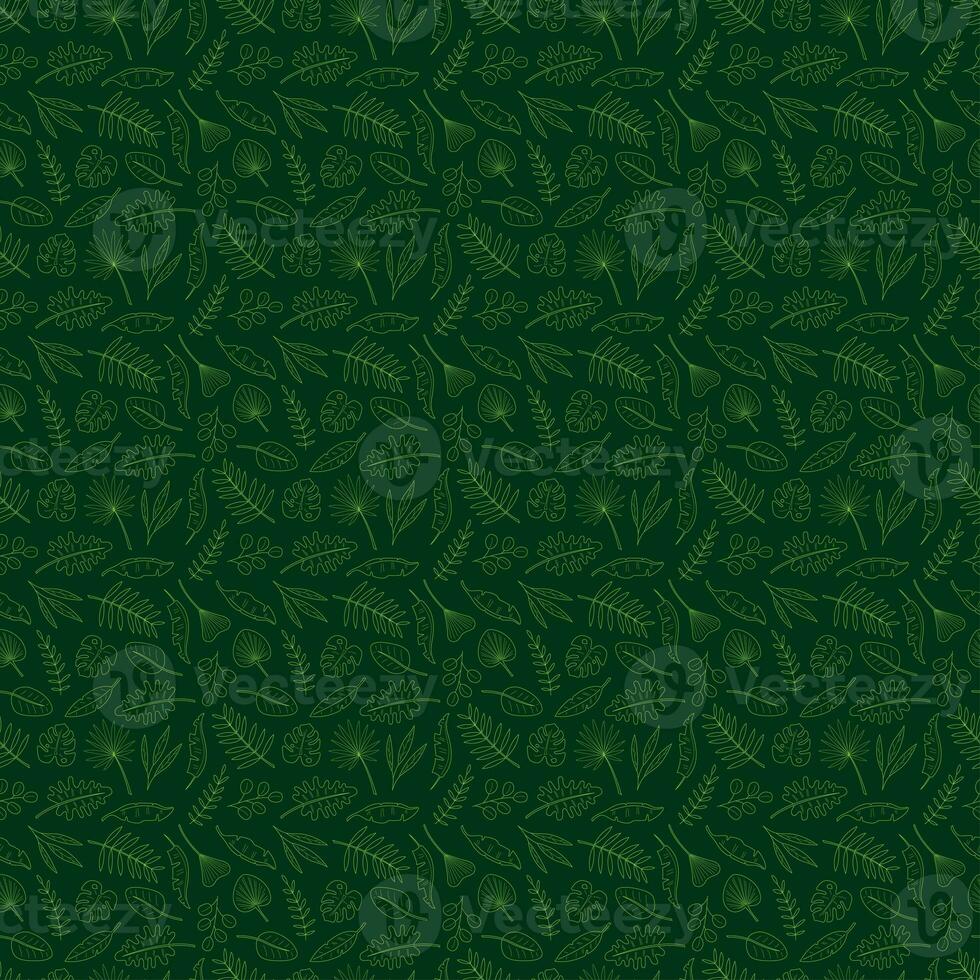 Seamless pattern with 13 different palm leaves on dark green background. Doodle color vector illustration. photo
