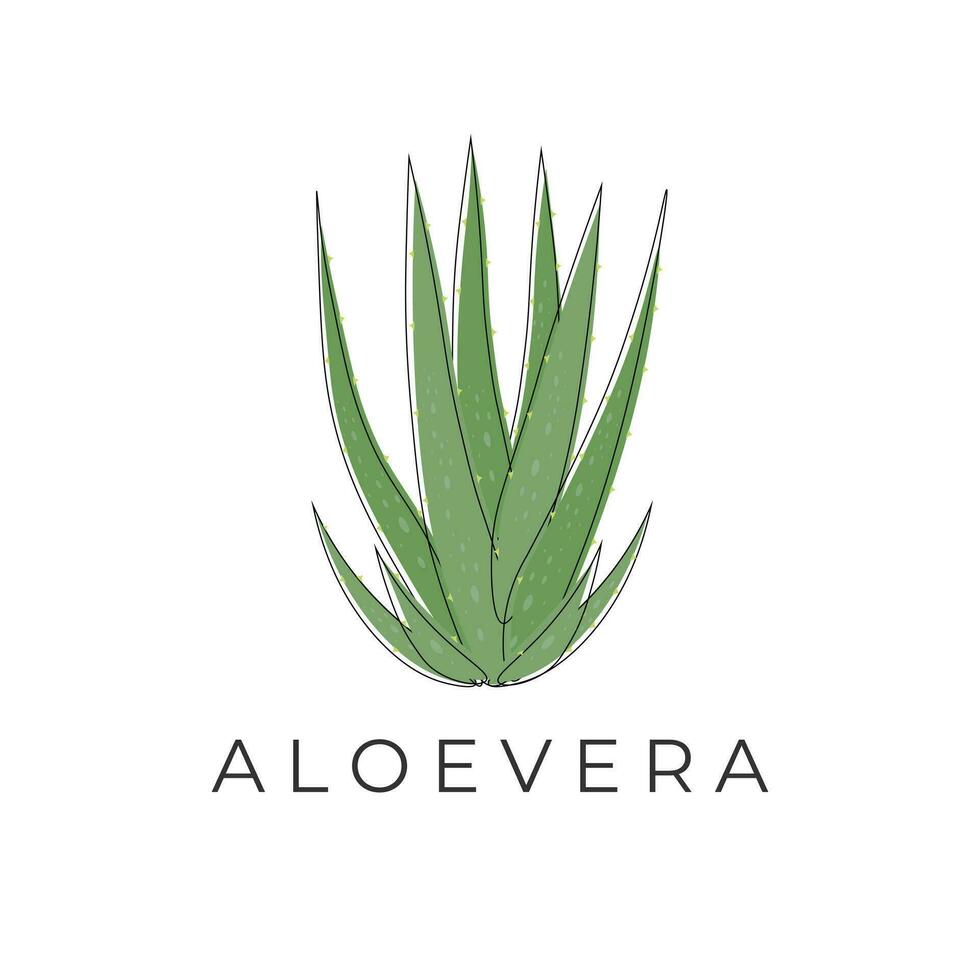 Fresh Aloe Vera Line Art Vector Illustration Logo