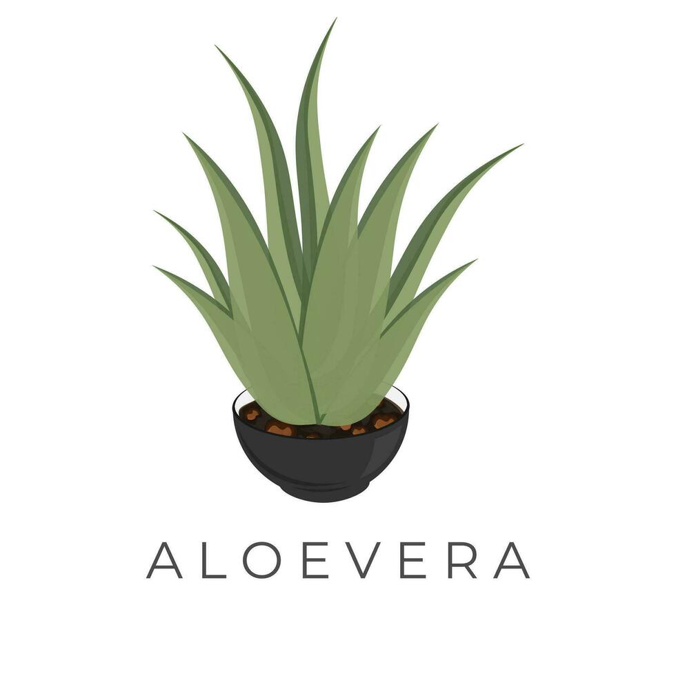 sencillo vector ilustración logo de áloe vera en un maceta