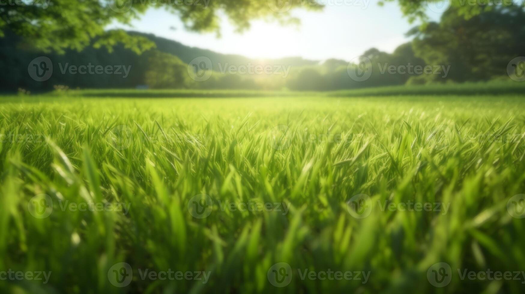 blurred green field with morning lighting. nature background with freshness and warming feeling. generative AI photo