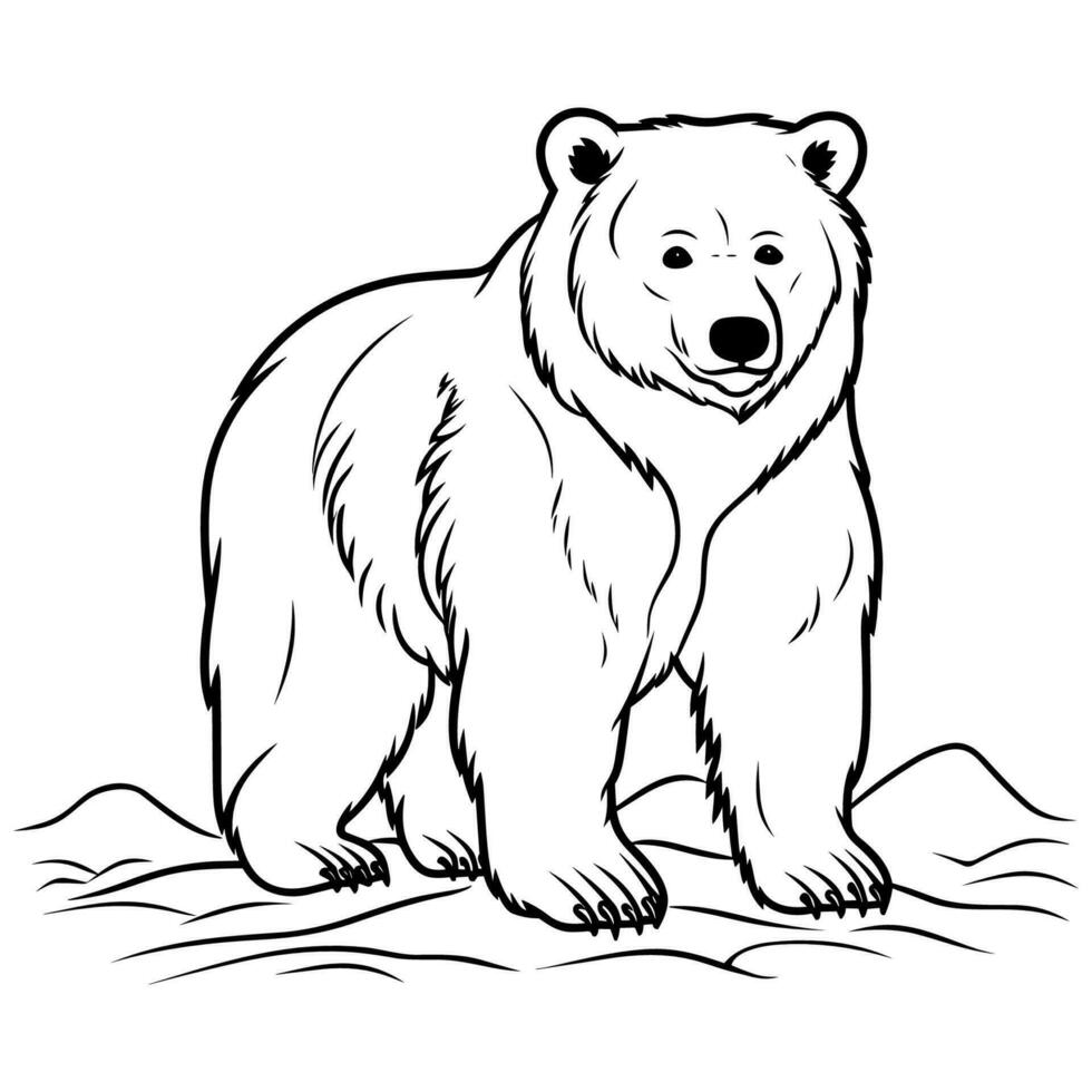 Bear coloring page for kids 25947053 Vector Art at Vecteezy