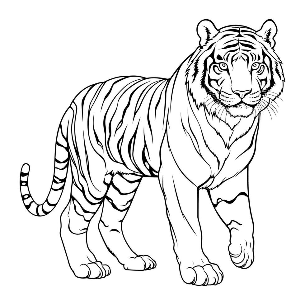 Tiger coloring page for kids vector