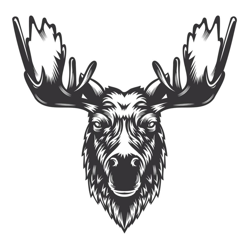 Moose deer head design with horn. Farm Animal. Cows logos or icons. vector illustration