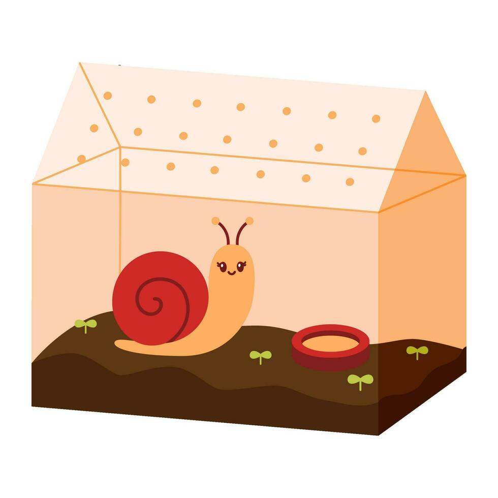 Cute pet snail in a terrarium vector illustration.