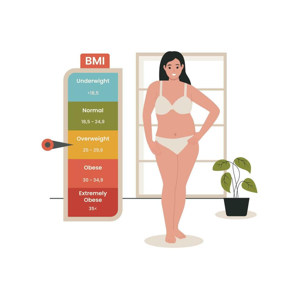 Body mass index vector illustration concept