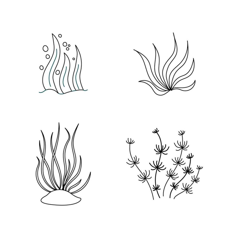 Set outline seaweed. Vector icon alga. Concept the world day ocean, sea plants.