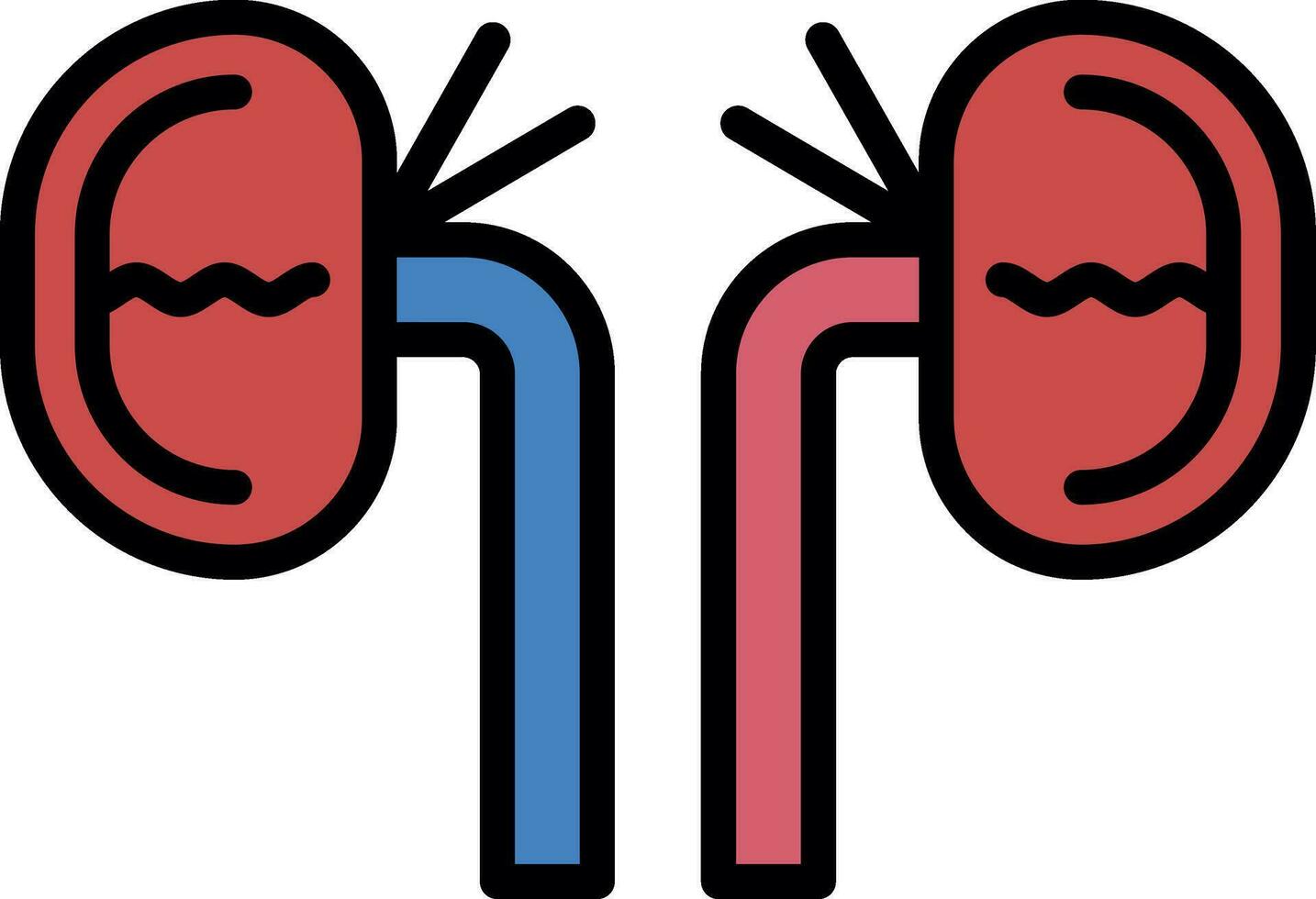 Kidney Vector Icon Design