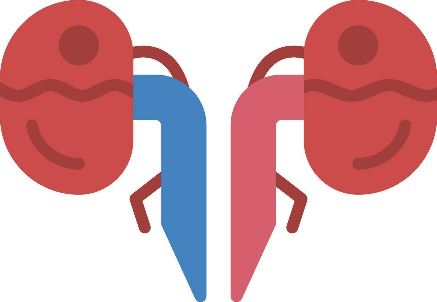 Kidneys Vector Icon Design