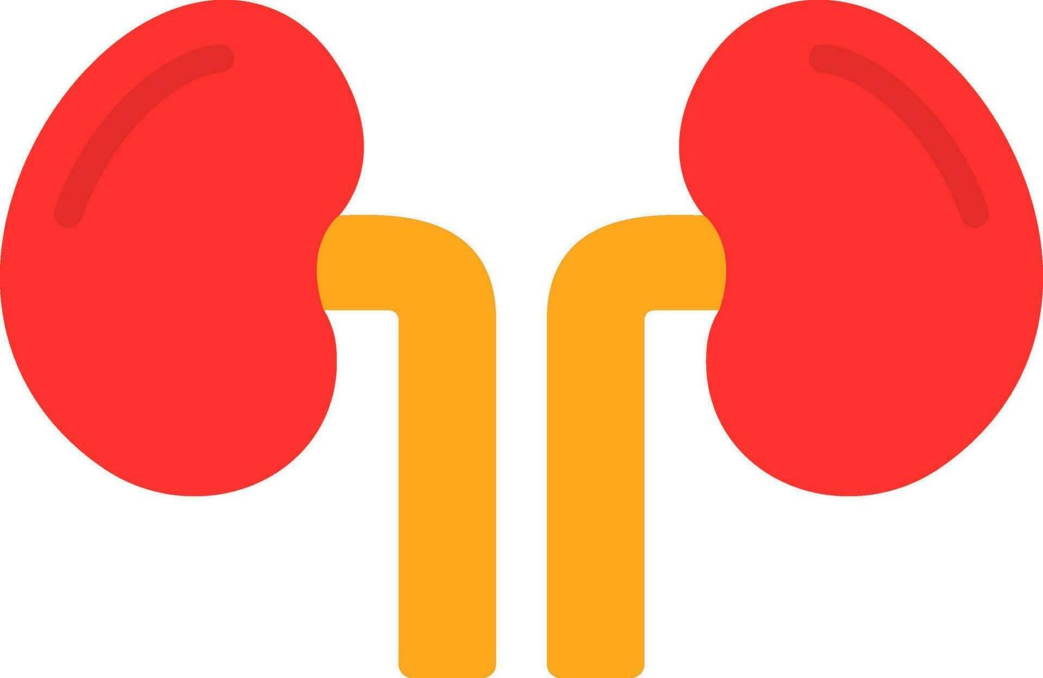 Kidney Vector Icon Design