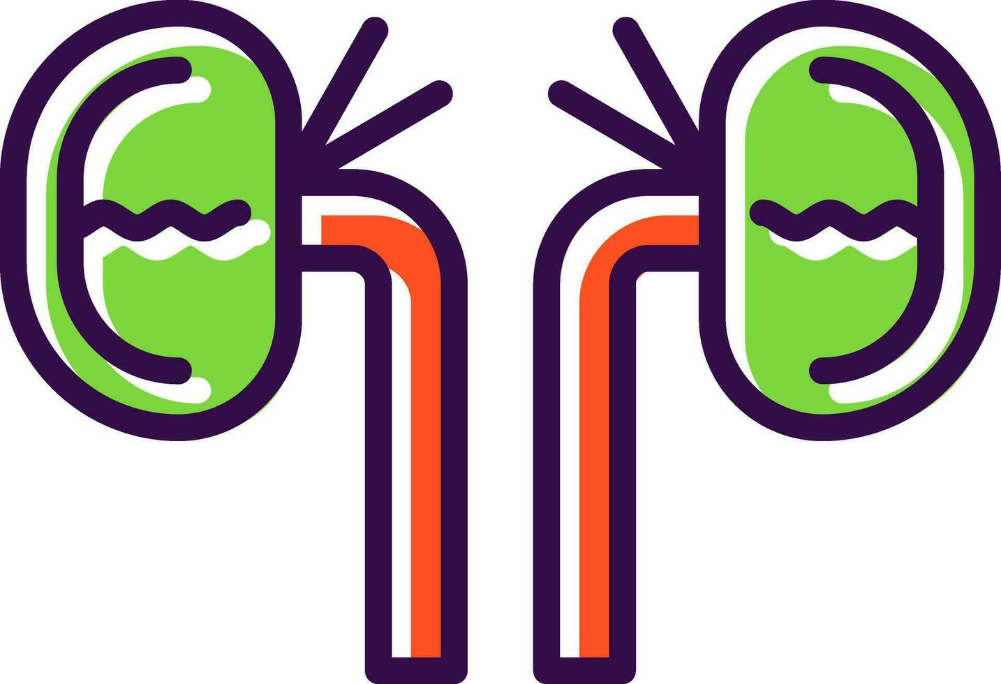Kidney Vector Icon Design