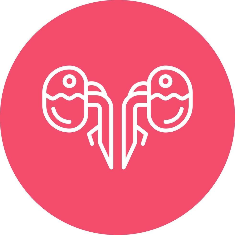 Kidneys Vector Icon Design