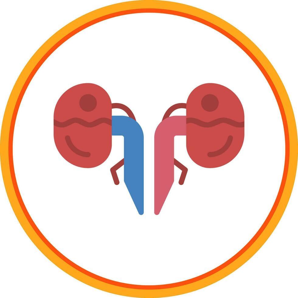 Kidneys Vector Icon Design
