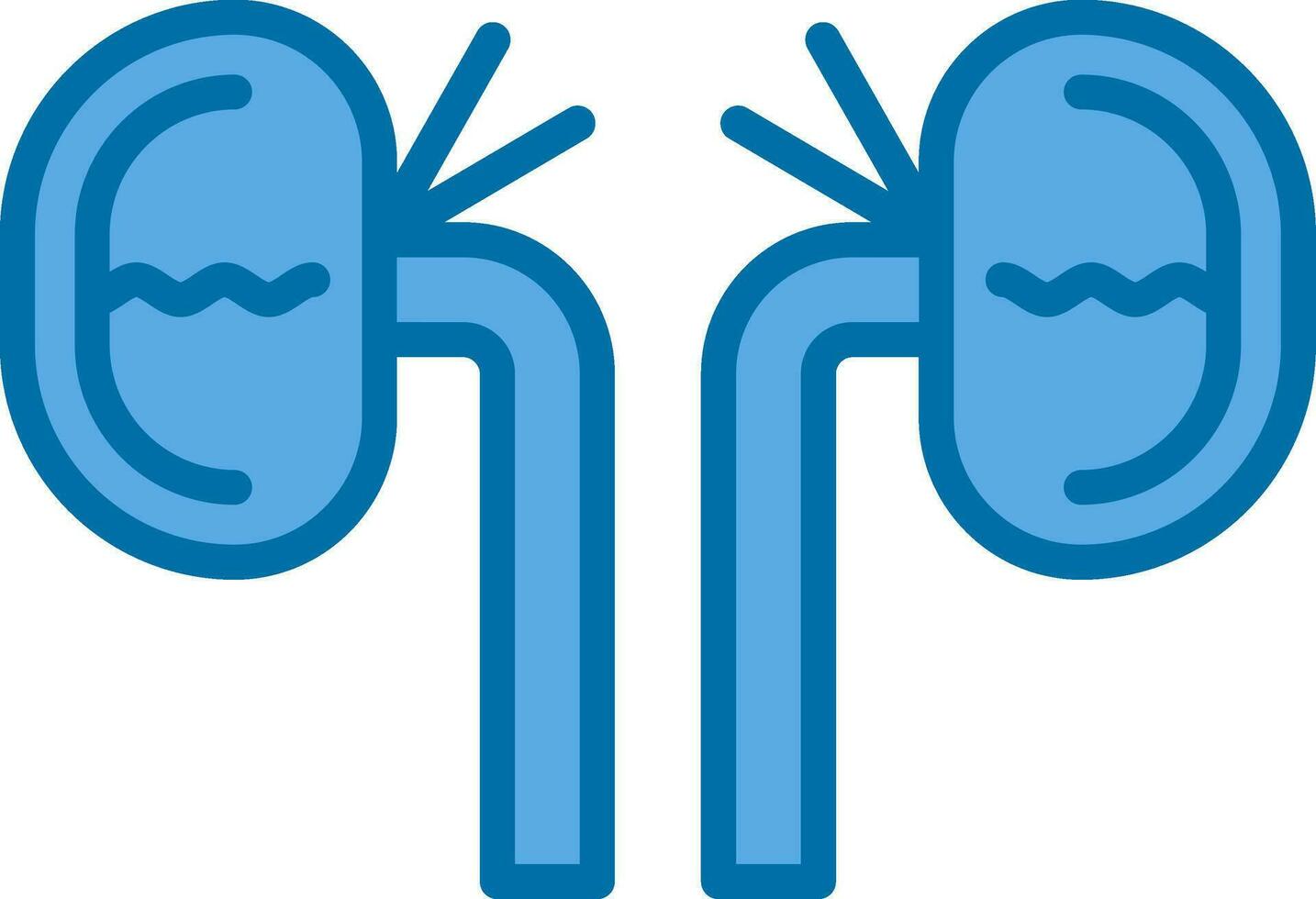 Kidney Vector Icon Design