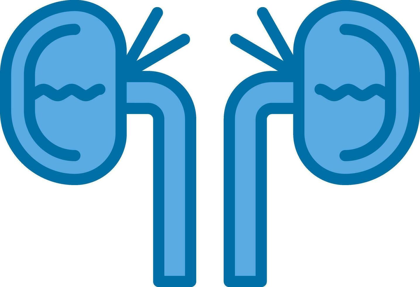 Kidney Vector Icon Design