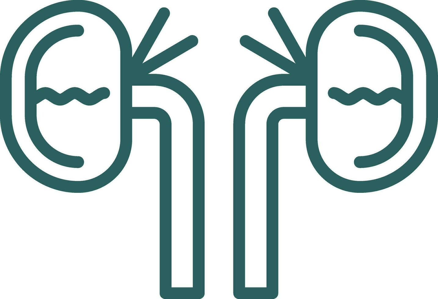 Kidney Vector Icon Design