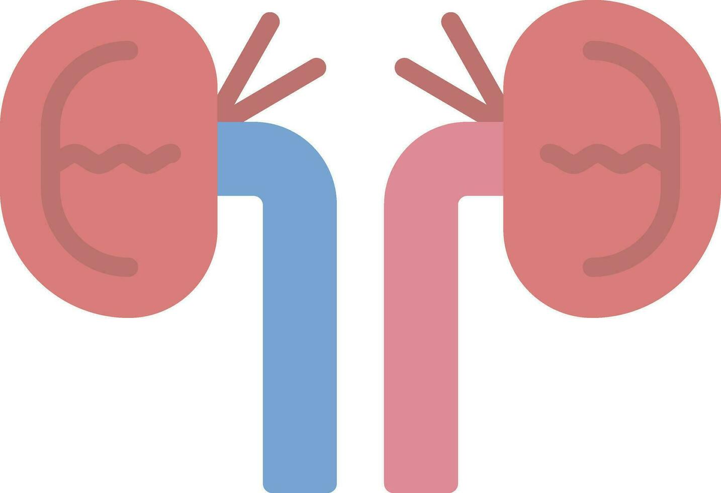 Kidney Vector Icon Design