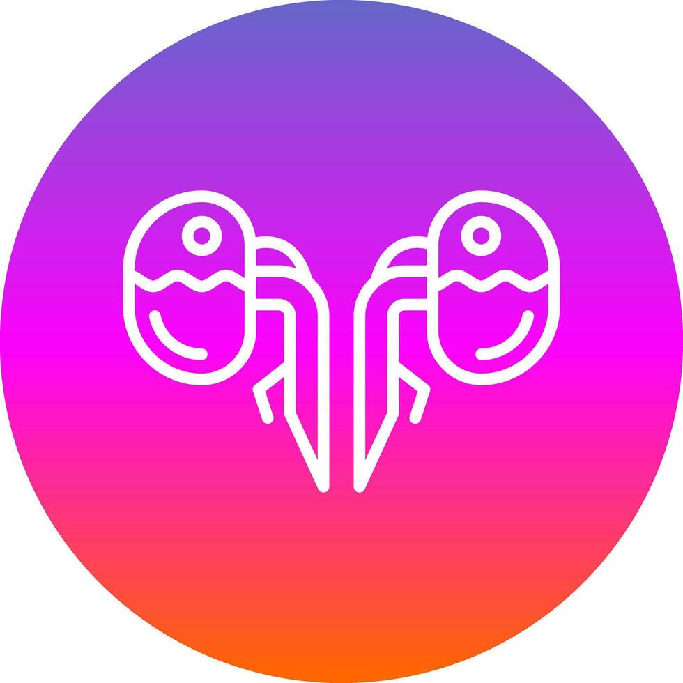 Kidneys Vector Icon Design