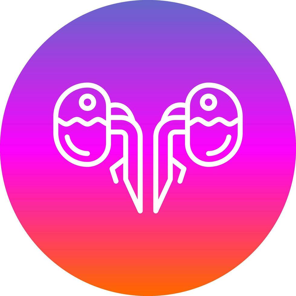 Kidneys Vector Icon Design