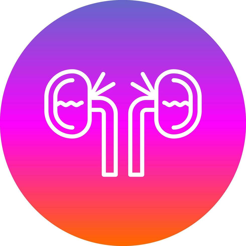 Kidney Vector Icon Design