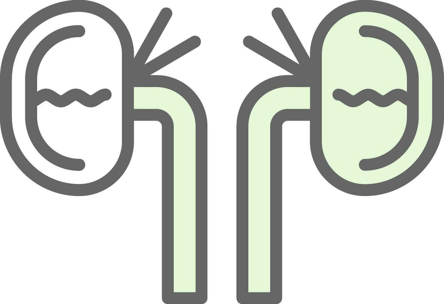 Kidney Vector Icon Design