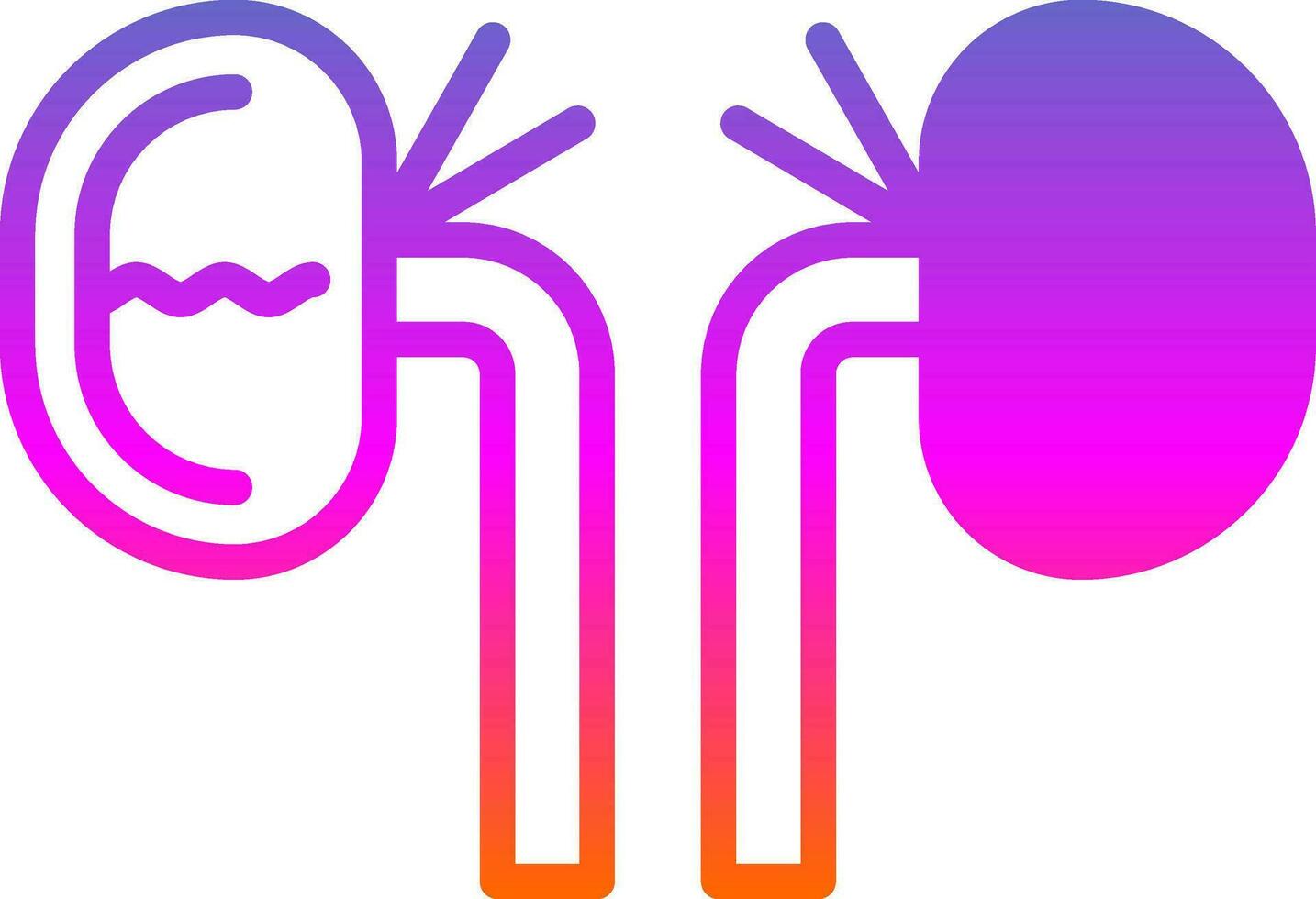 Kidney Vector Icon Design