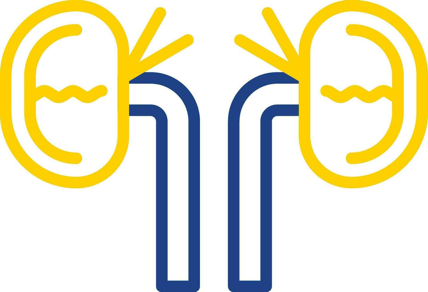 Kidney Vector Icon Design