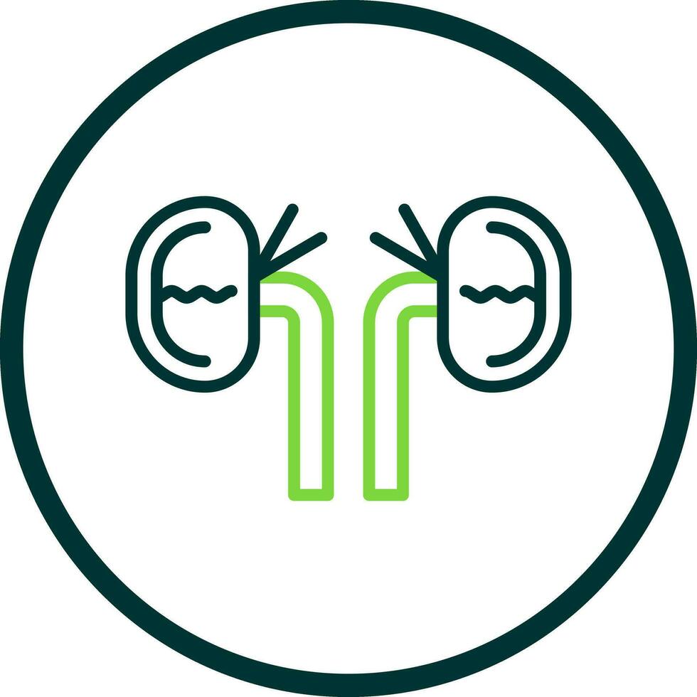 Kidney Vector Icon Design
