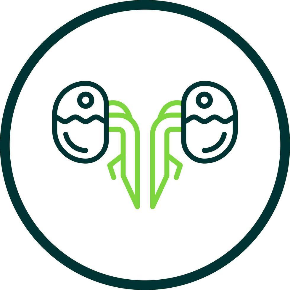 Kidneys Vector Icon Design